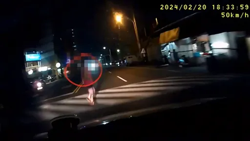 行人地獄肇事駕駛視角曝光!他犯了這2錯 老婦斑馬線上被撞飛搶救3天不治