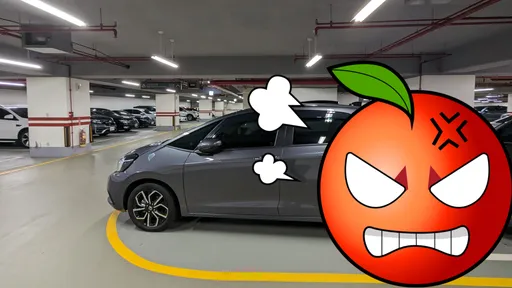 他停車自創「魔術空間」!後車卡死動不了 網轟:智缺沒藥醫