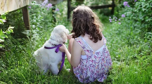 誤會大了！研究：人類才比較「毒」 　向動物傳染病毒更為常見