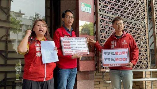 儿福联盟善款执行率不到一半! 王育敏挨告侵占