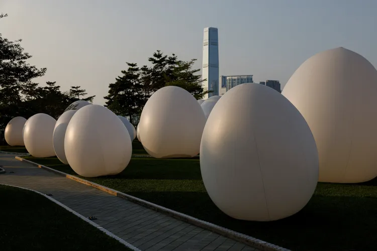 蛋體日間呈現白色就如同雞蛋外觀。路透社