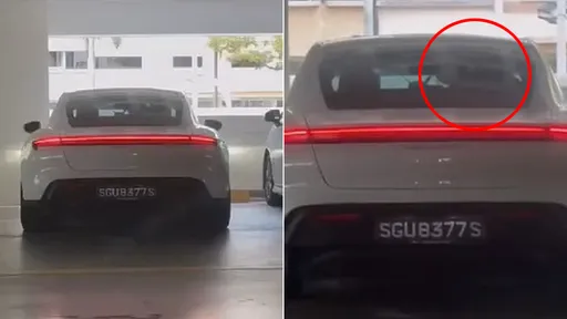 「保時捷車震」搖晃影片瘋傳　車牌變投注熱門竟然真的中獎了