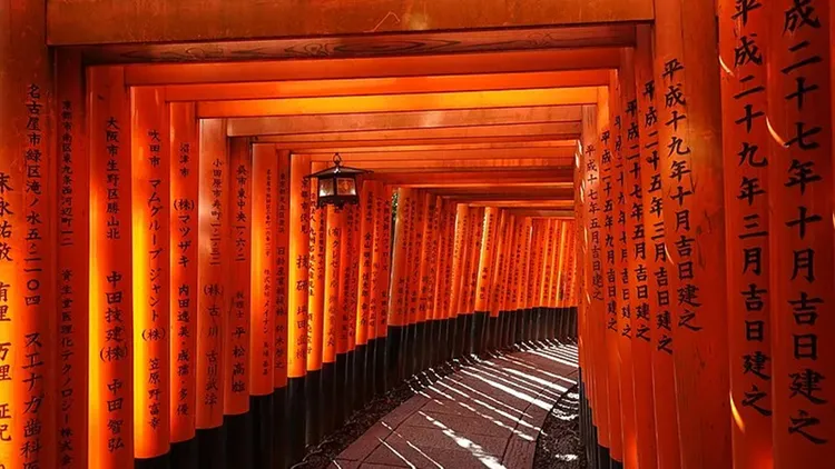 伏見稻荷大社。翻攝自《Sora News 24》