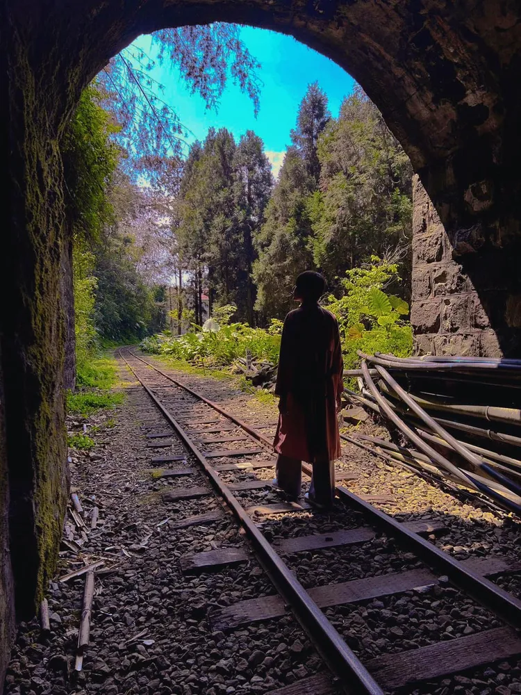 陳珮甄上阿里山淚崩了。翻攝陳珮甄臉書