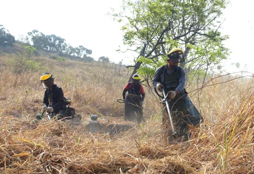 中市府啟動公墓除草及接駁專車 籲清明掃墓注意用火安全