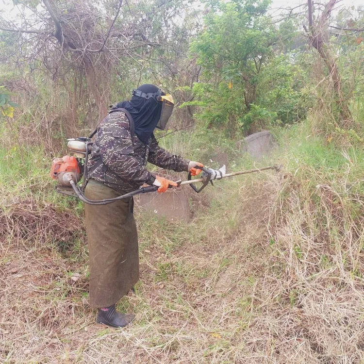 市立公墓除草作業。資料照片