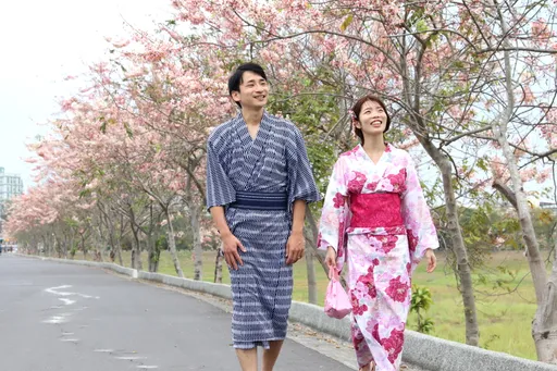 好美!华医科大后花园盛开浪漫花旗木 日本夫妇漫游「伪樱花祭」解乡愁
