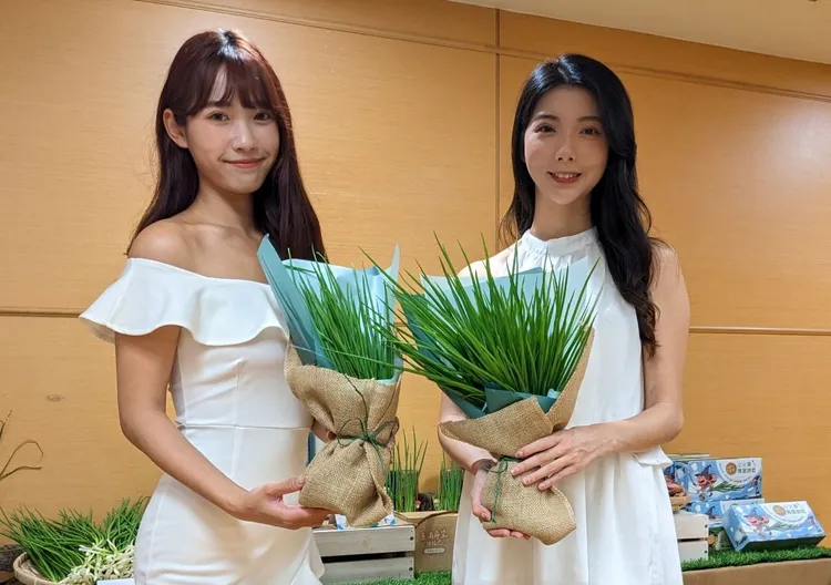 新北珠蔥有著淡雅的香氣、甘甜的口感。農業局提供