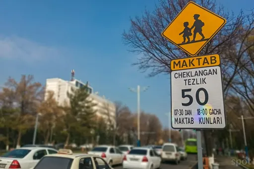 中亞小國總統不媚眾 宣布科技執法計畫保護行人安全