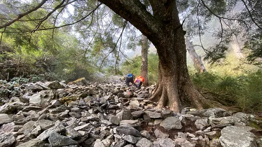 玉山不到3個月「6死12傷」 19起山域事故這一帶發生最多