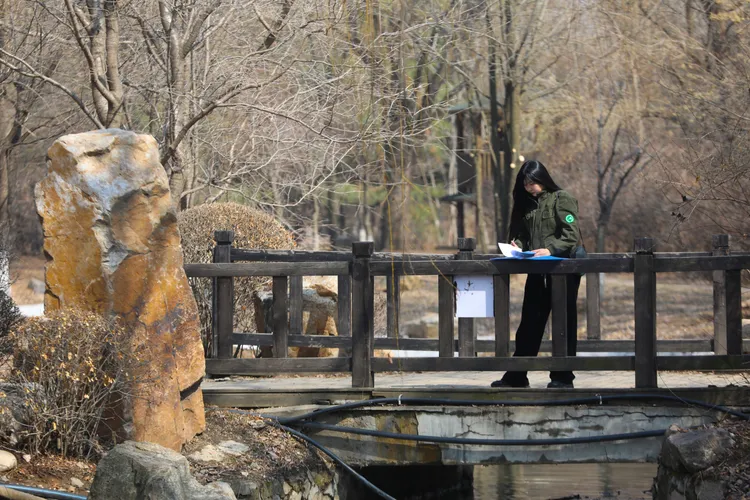 孟蝶在野外觀察、記錄鳥類活動。新華社