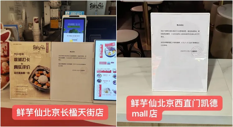 如今出事的兩家北京鮮芋仙分店都先關閉整頓。翻攝自鮮芋仙微博