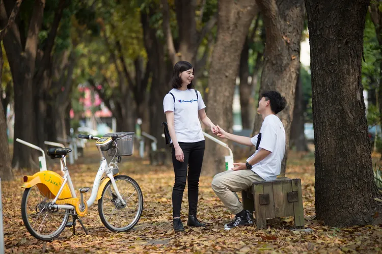桃花心木正值落葉季，宛如偶像劇場景。市府提供