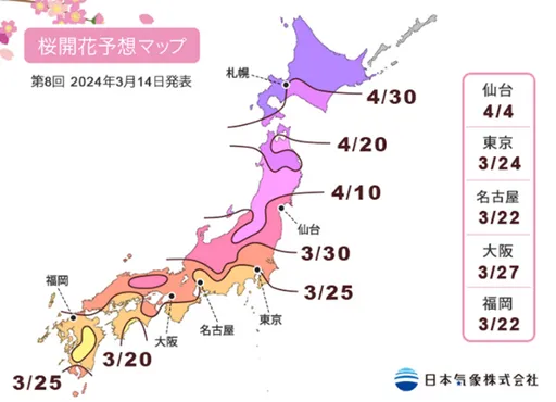 日本福岡、東京3月中下旬開櫻花 樂天旅遊精選3處賞櫻名所