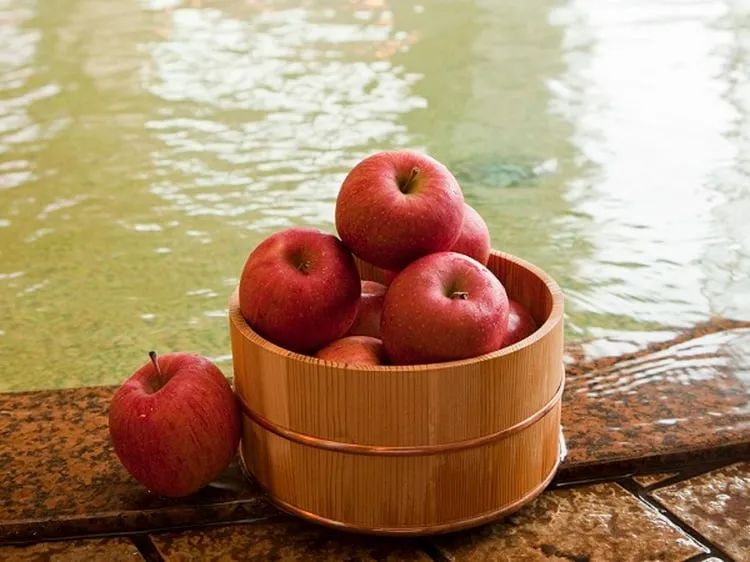 「南田溫泉蘋果園飯店」是充滿蘋果香氣的旅館！以香甜的蘋果療癒旅客的身心靈。樂天旅遊提供