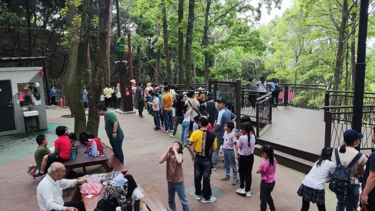 清明兒童連假期間，東勢林場3至12歲兒童門票只要60元。市府提供