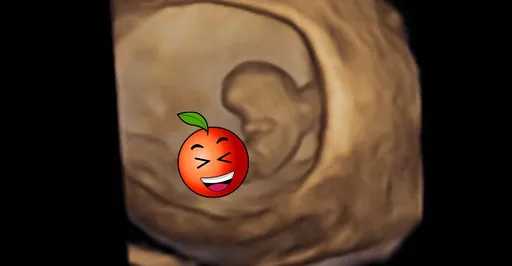 「別看到一根就說是GG!」婦產科名醫揭真相 網笑:真的好長