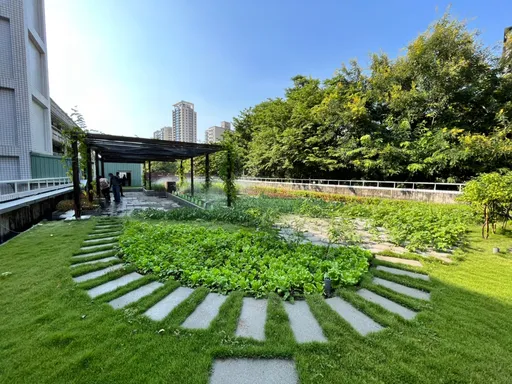 全國首推!綠化補助導入淨零碳排 高雄「建築物立體綠化補助」最高80萬