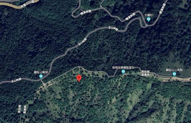 麝香貓出沒地點。翻攝自玉山國家公園管理處臉書