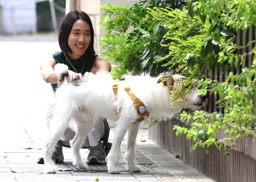 超熱！嘉義飆出39.1℃高溫　氣象署：6縣市慎防熱傷害