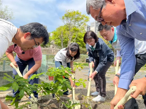 竹市府響應復育瀕危植物槲櫟 攜手林業保育署推動認養