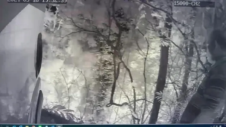 警消到場時，特斯拉已全面燃燒。民眾提供