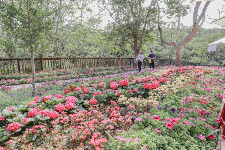 竹市十八尖山。新竹市府提供