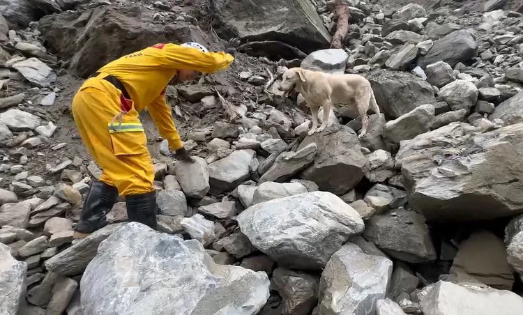 高雄市特搜隊找到砂卡礑第三具遺體。翻攝畫面