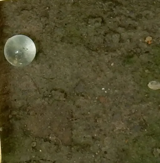 北海道11歲少女惡作劇丟BB彈 雙親登門陪道歉卻遭刺殺