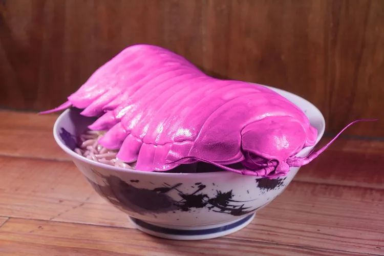 「女王具足蟲」顏色相當鮮豔。翻攝自拉麵公子臉書