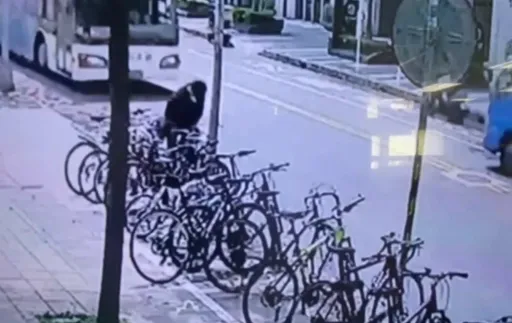 高檔捷安特3.6萬二手價不到1萬!有詭 北市警循線逮單車大盜