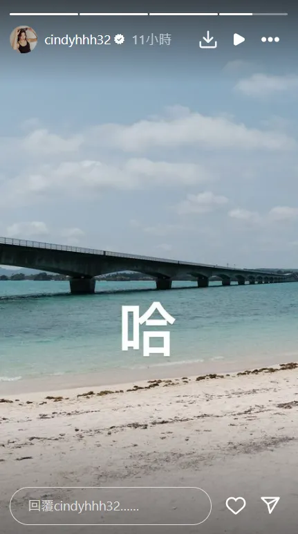 Cindy昨（1）日晚間接連發出多篇限動，疑似是在回應感情問題。（圖／翻攝自CindyIG）