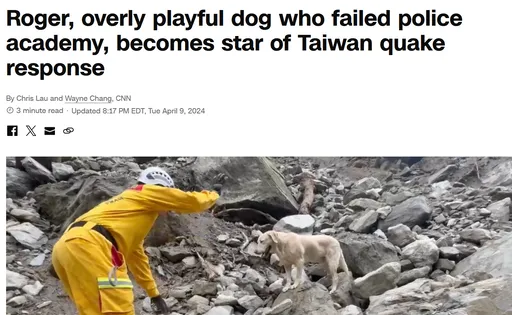 調皮好動Roger搜救立大功　登上美國CNN頭版