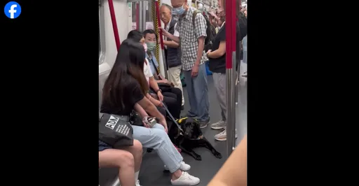 老伯搭地鐵飆罵導盲犬 視障女3句話讓他閉嘴