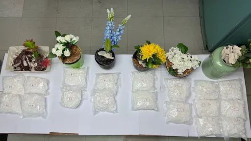 荷蘭進口假花盆栽有「毒」 警破無良黑幫找癌末病人收貨