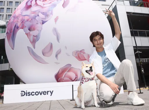 陳柏霖稱讚葉舒華很屌 最想再次合作竟是他