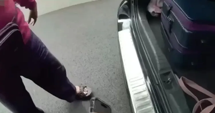 行李原封不動的放在後車廂。翻攝畫面