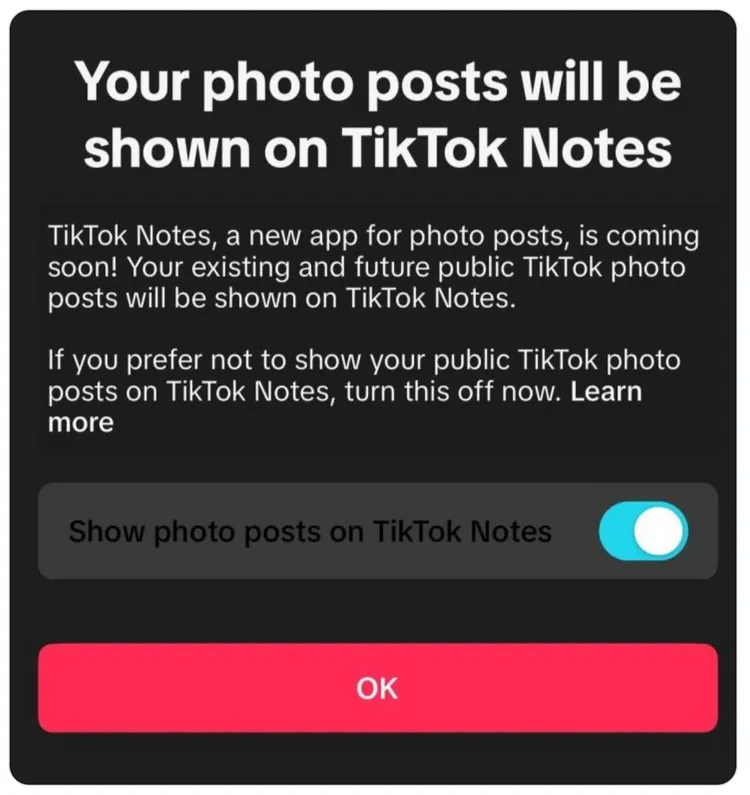 TikTok開始為用戶推送TikTok Notes推出預告。翻攝自Alex Friedman X。
