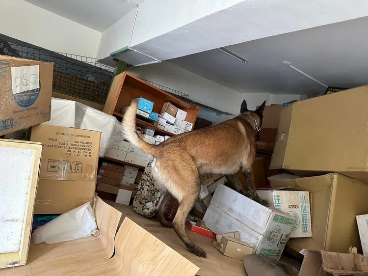 台南特搜隊帶搜救犬前往花蓮災區。消防局提供