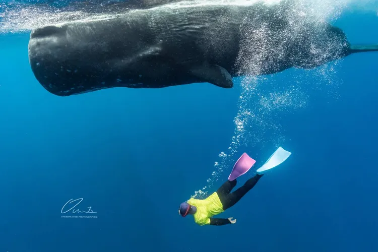 彈頭希望能透過歌曲，喚醒更多人注意環保議題。美秀創意提供