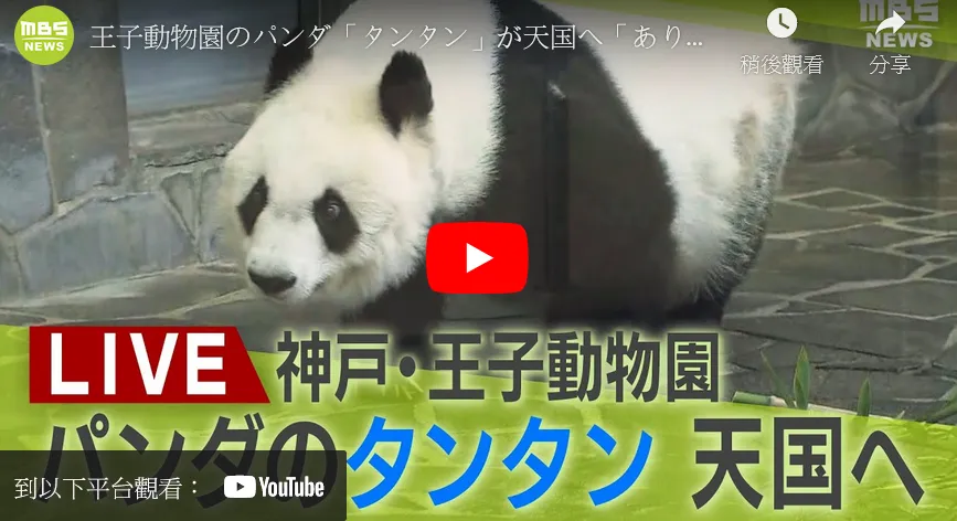 记者会说明旦旦离世原因。