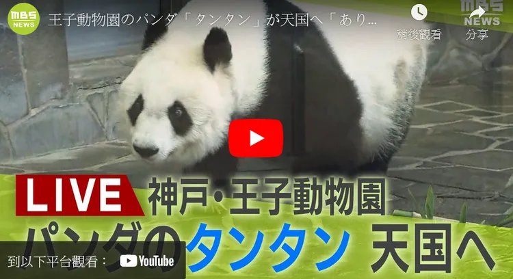 記者會說明旦旦離世原因。