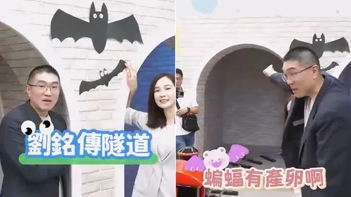 謝國樑「蝙蝠產卵」合體楊寶楨出包 網嘲:寶寶又要換老闆嗎