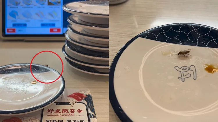 陳光軒驚見小蟑螂爬上壽司盤舔醬汁。翻攝陳光軒臉書