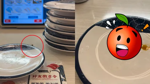 發毛影片!議員吃迴轉壽司 竟驚見「小強爬盤中舔汁」