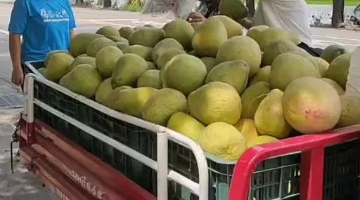 中國恢復台灣文旦柚等農漁產品輸入 農業部:盼以檢疫平台溝通