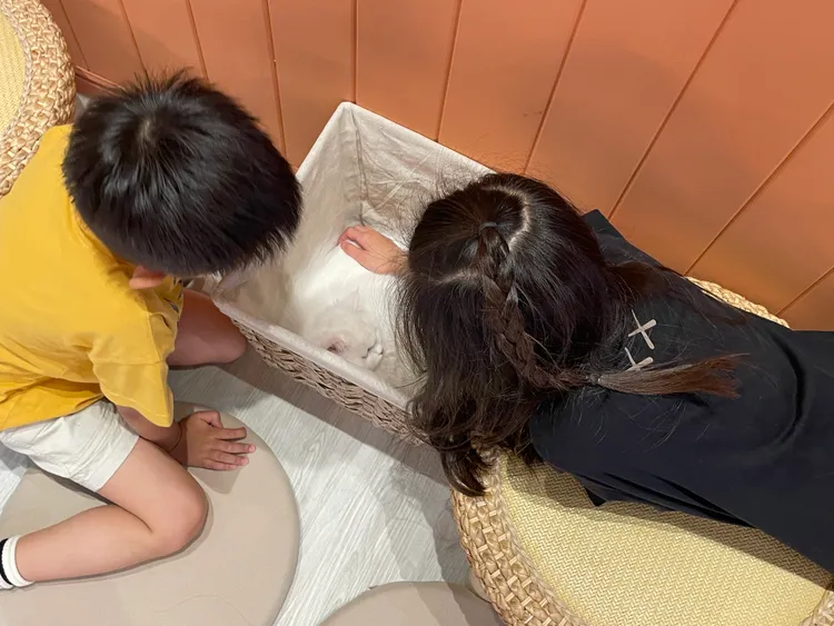 除了沙發座位區，客人可隨處以坐墊及小茶几享用甜點與貓咪近距離接觸。StellaH.攝