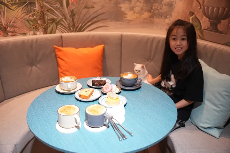在咖啡廳內可體驗有貓咪陪伴的超萌下午茶。StellaH.攝