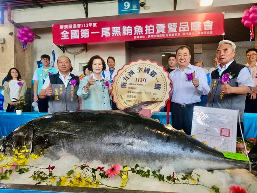 黑鮪魚季來囉!蘇澳「全國第一鮪」每公斤拍賣價創新高