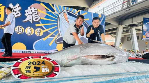 屏東「第一鮪」310萬元賣出 這家公司得標!每公斤1.03萬創新高